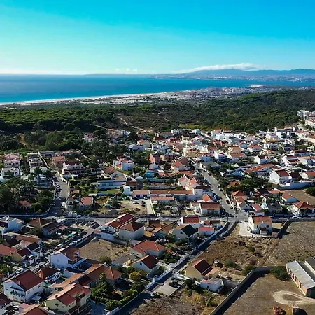 Geranios Amora